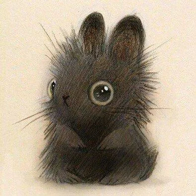 Image postée par le membre