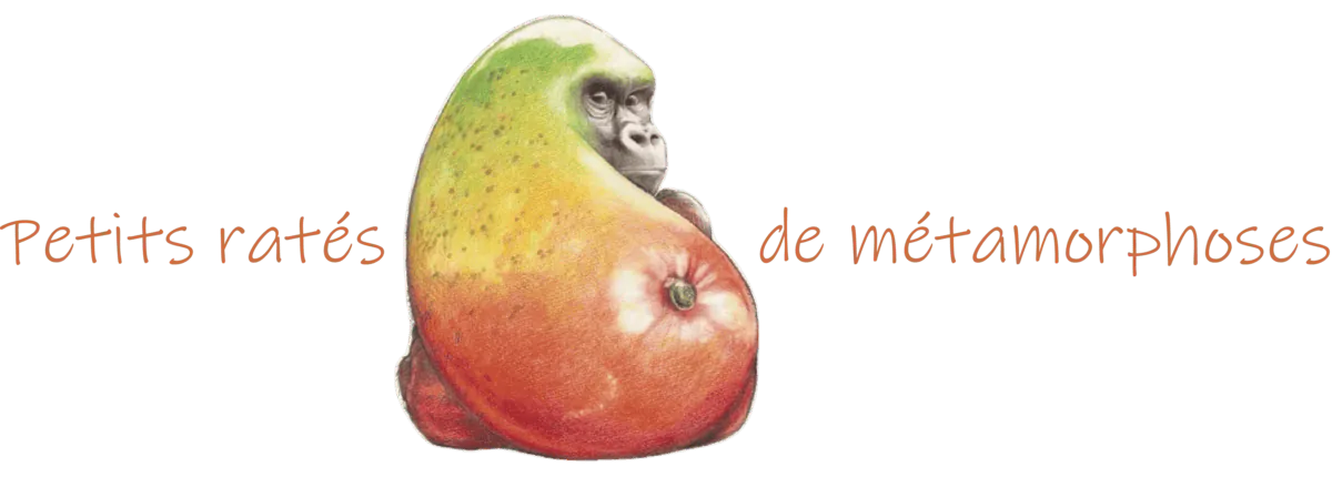 Image postée par le membre