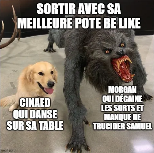 Image postée par le membre