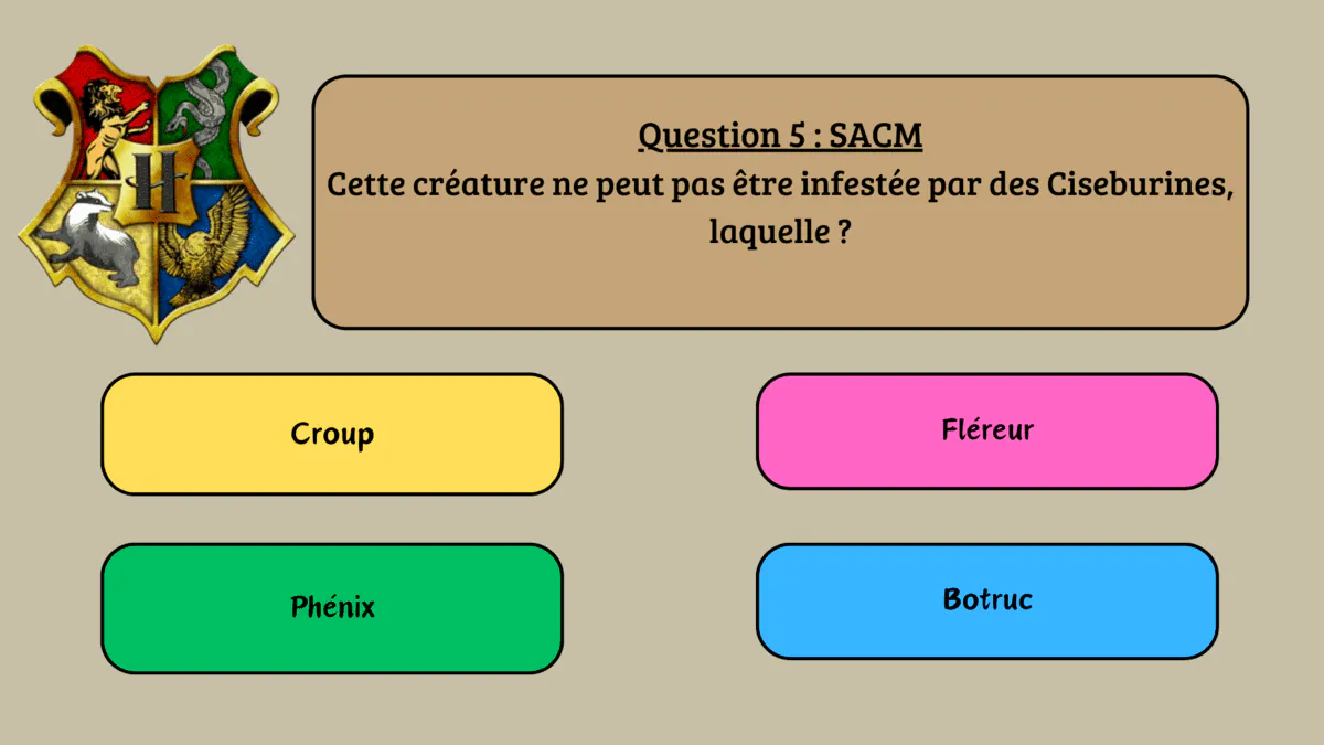 Image postée par le membre