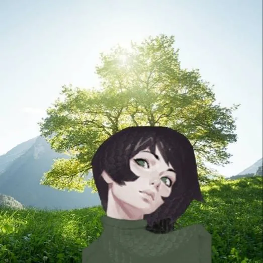Image postée par le membre