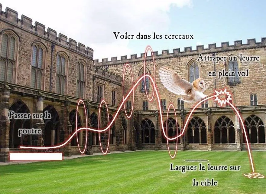 Image postée par le membre