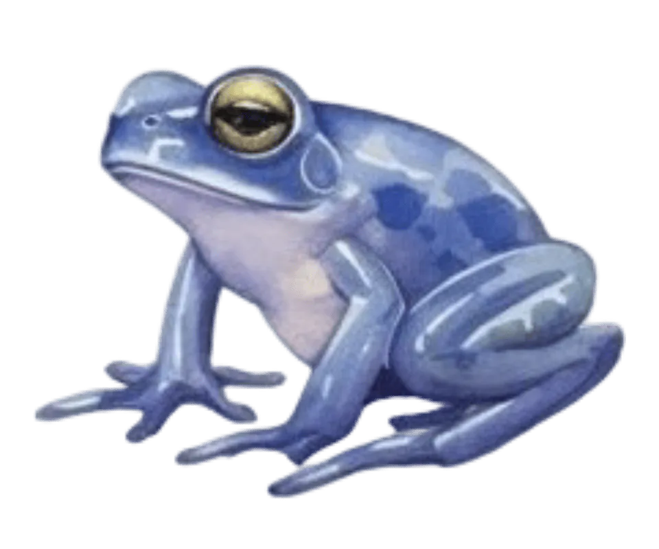 Image postée par le membre