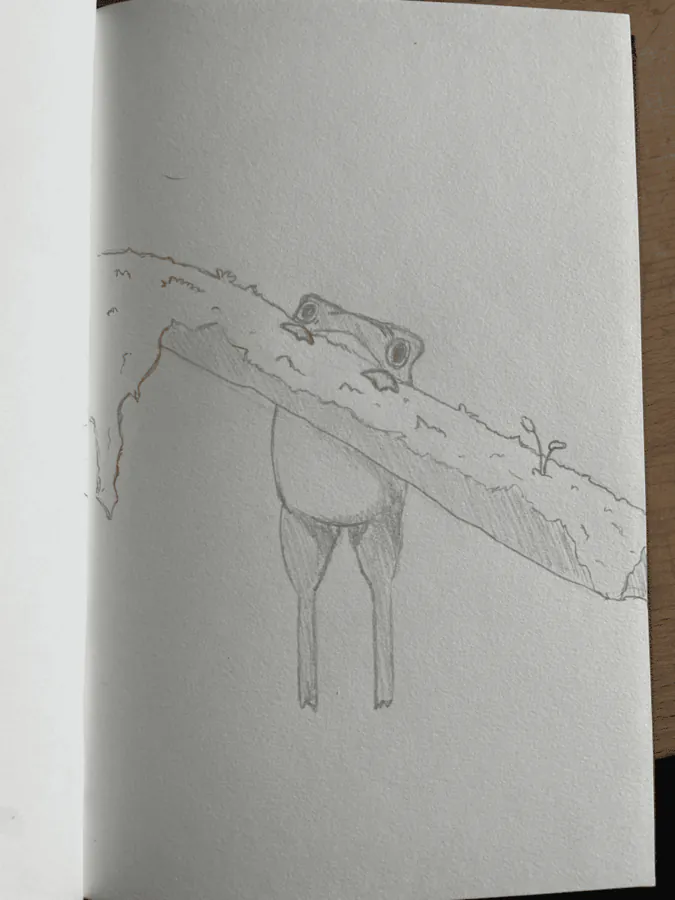 Image postée par le membre
