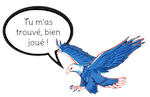 Image postée par le membre