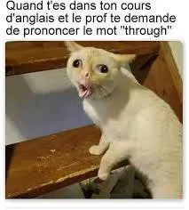 Image postée par le membre