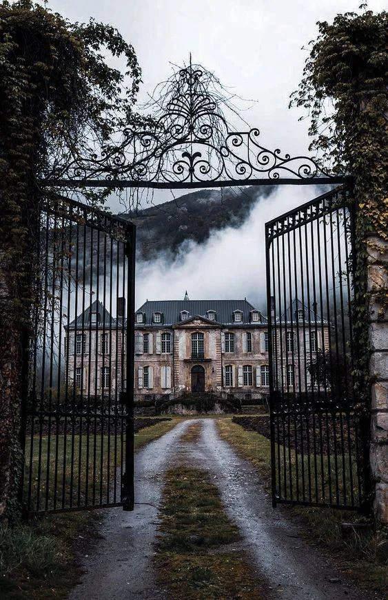 Image postée par le membre