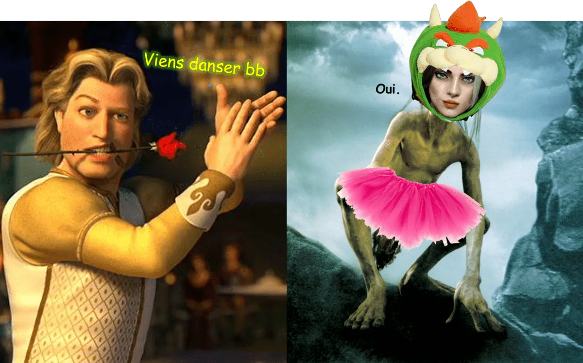Image postée par le membre