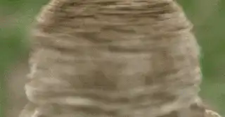 Image postée par le membre