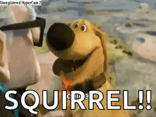 Image postée par le membre