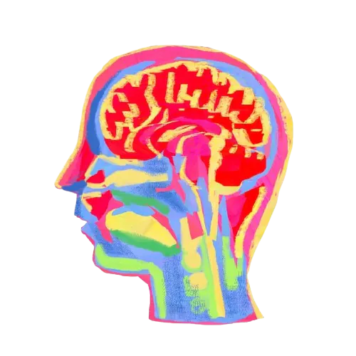 dessin coloré représentant une tête de profil