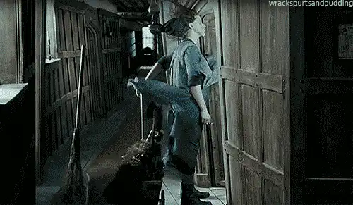 Image postée par le membre