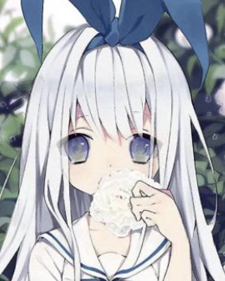 Image postée par le membre