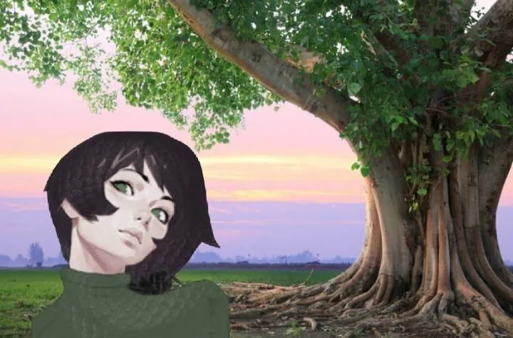 Image postée par le membre