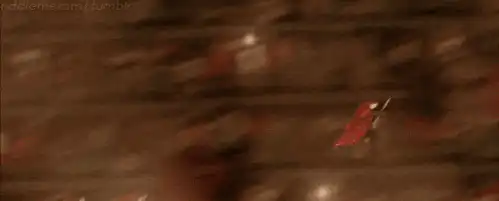 Image postée par le membre