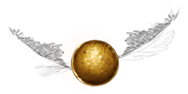Image postée par le membre