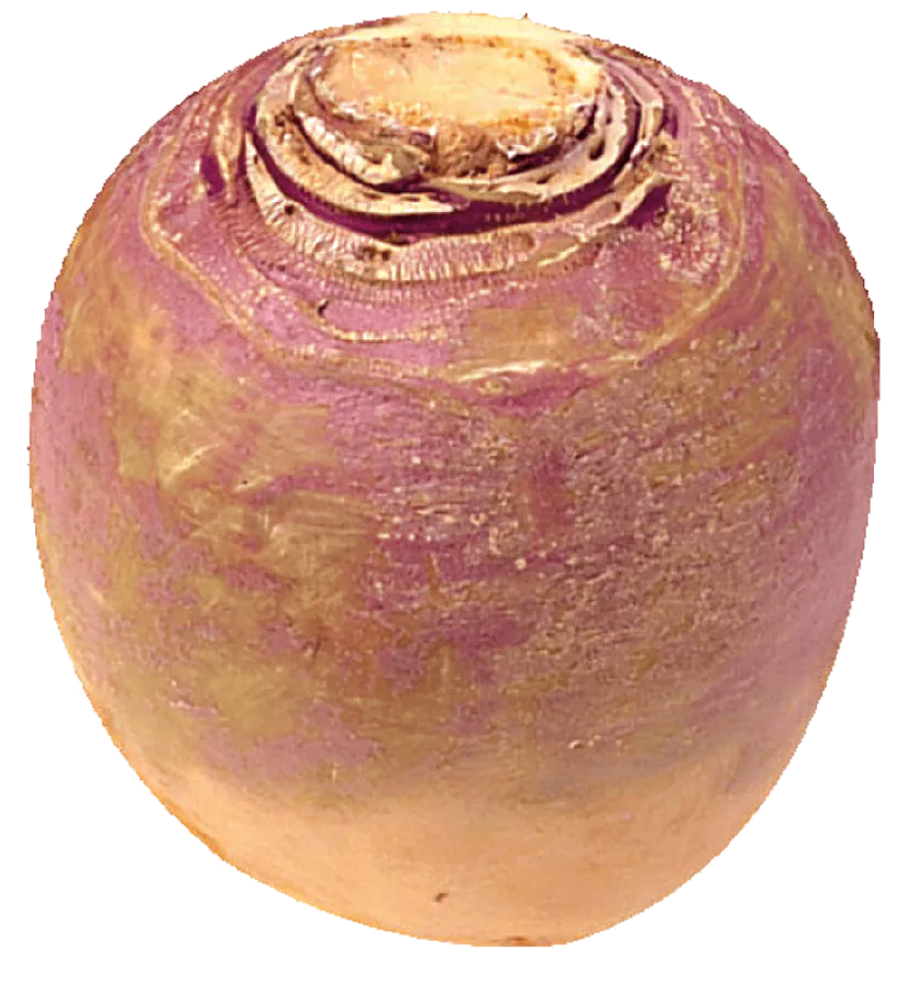 Image postée par le membre