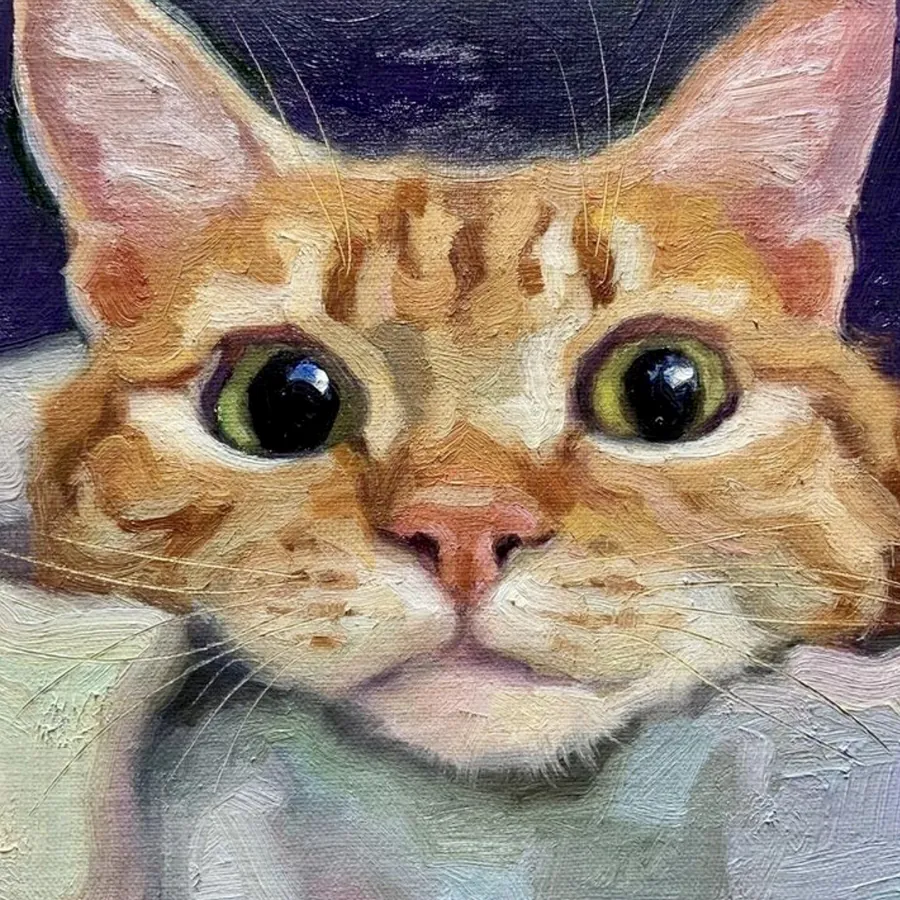 Chat