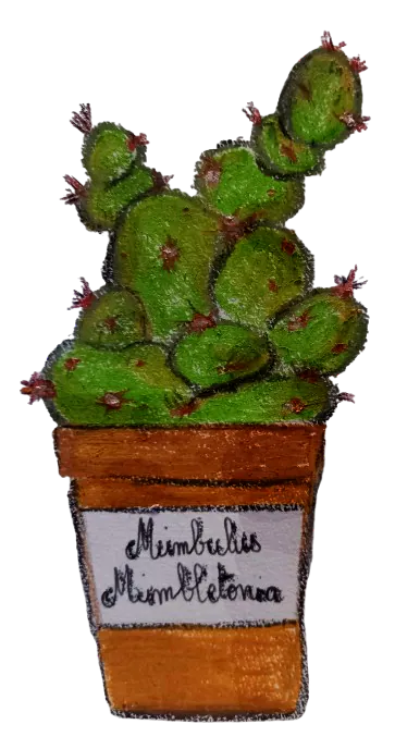 Dessin à la craie grasse d'un Mimbulus Mimbletonia