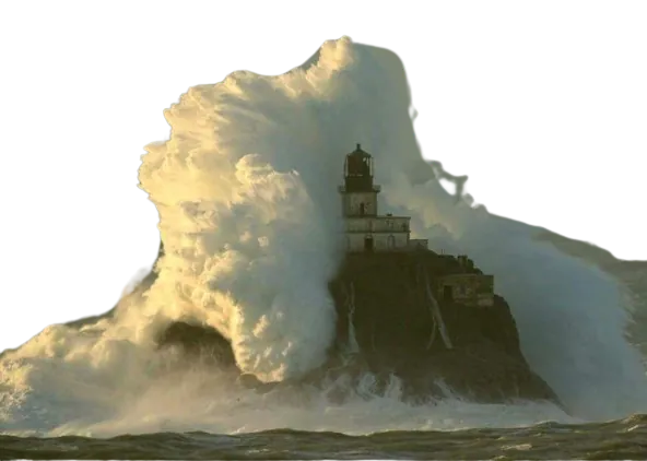 Image postée par le membre