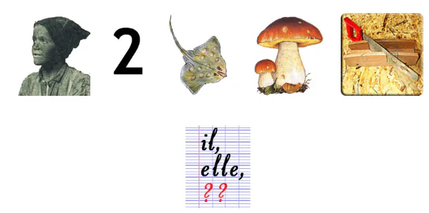 Image postée par le membre