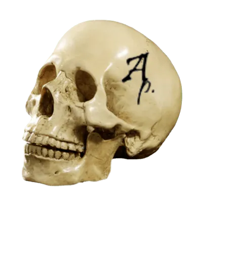 Image postée par le membre