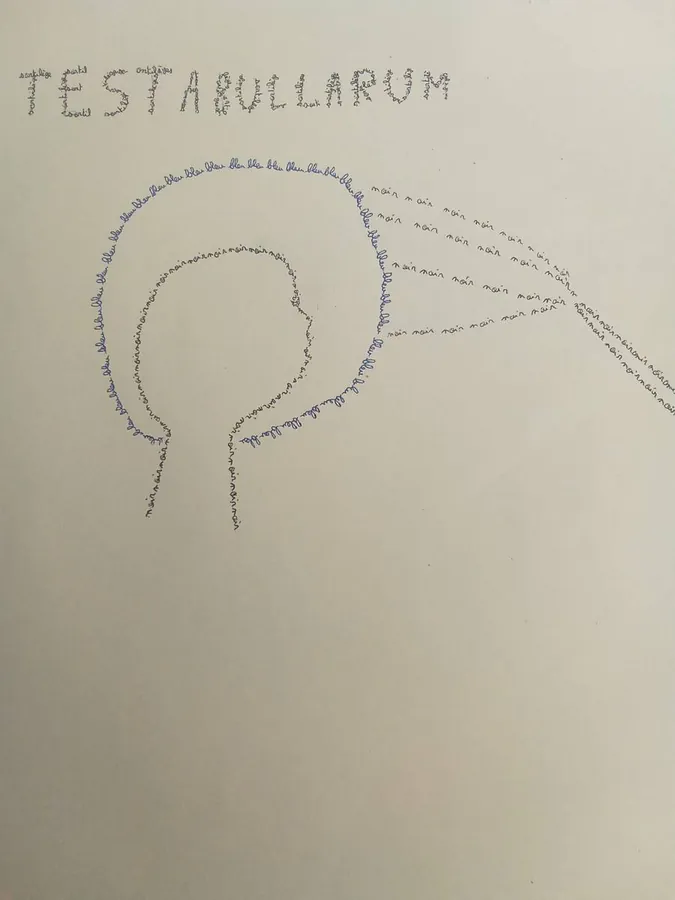 Image postée par le membre