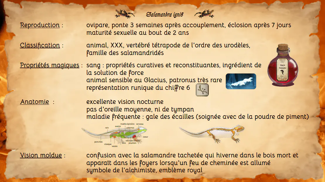 Image postée par le membre