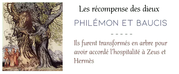 Image postée par le membre
