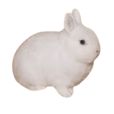 Image postée par le membre