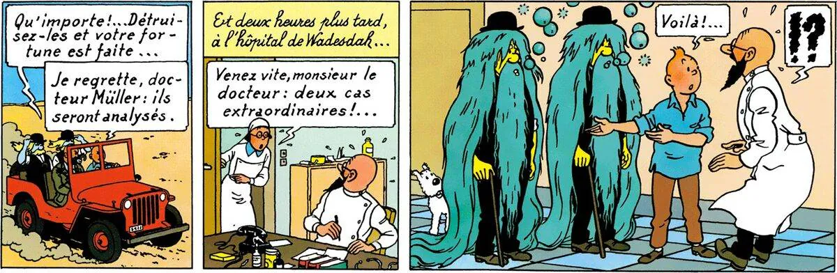 Image postée par le membre