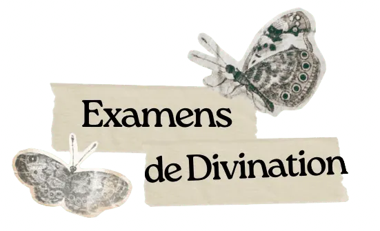 Image postée par le membre