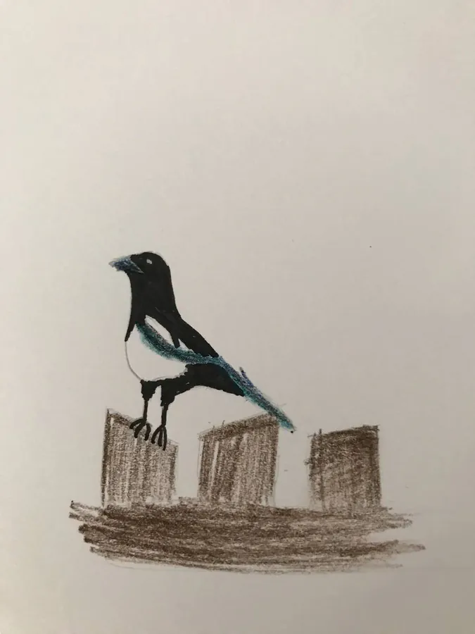 Image postée par le membre