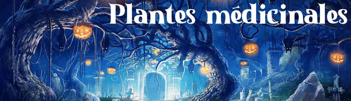 Image postée par le membre