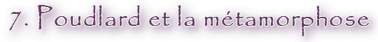 Image postée par le membre