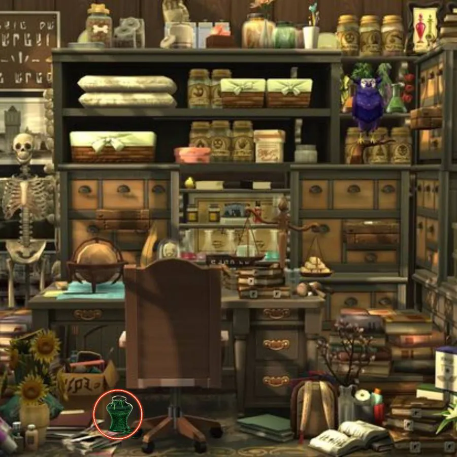 Image