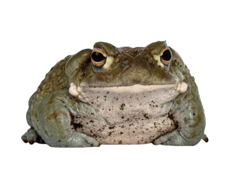Image postée par le membre