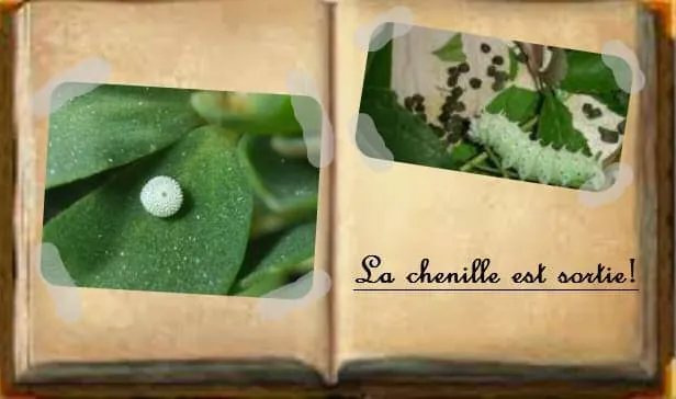 Image postée par le membre