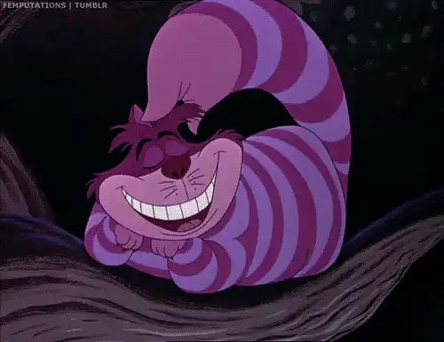 Image postée par le membre