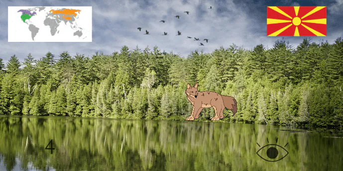 Image postée par le membre