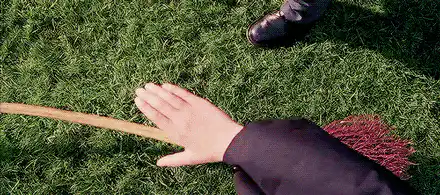 Image postée par le membre