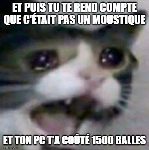 Image postée par le membre