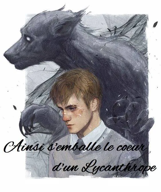 Image postée par le membre