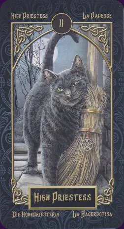 Image postée par le membre