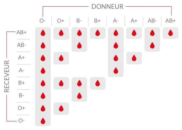 Image postée par le membre