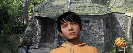 Image postée par le membre