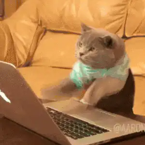 Image postée par le membre