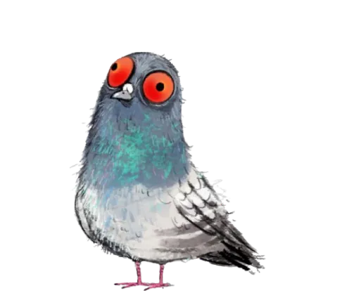 pigeon