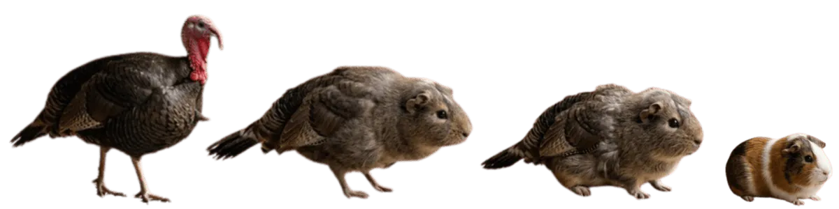 Image postée par le membre