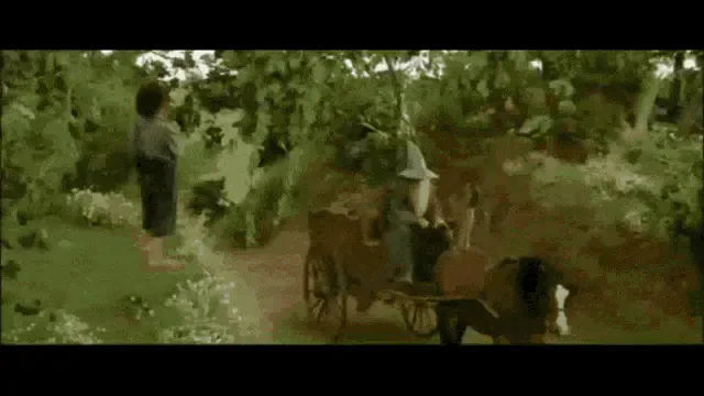 Image postée par le membre